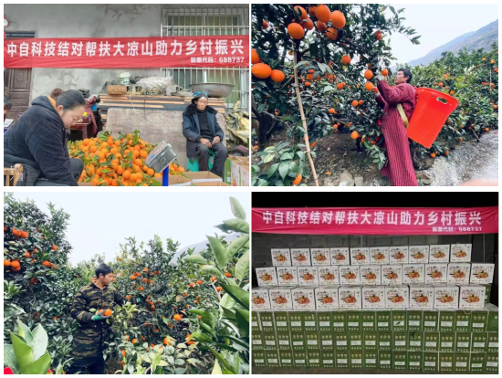 图1 (1).png
